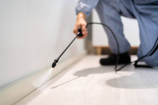 Licensed Termite Control service in Burlington, KS - Nex Pest Control