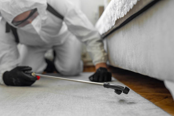 Professional Termite Control technician working in Burlington, KS