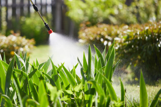 24/7 Emergency Termite Control experts in Burlington, KS