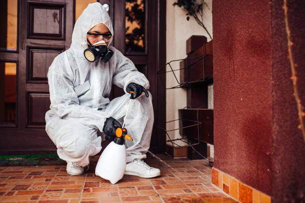 Reliable Termite Control contractor in Burlington, KS by Nex Pest Control