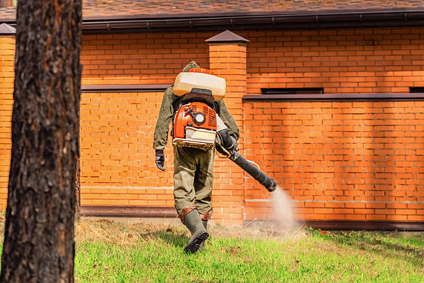 Trusted Mosquito Control service in Burlington, KS - Nex Pest Control
